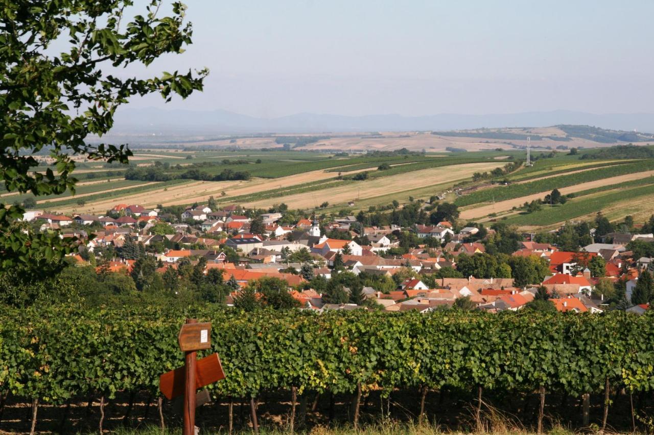 Hotel Weingut zur Schlafmütze Herrnbaumgarten Exterior foto